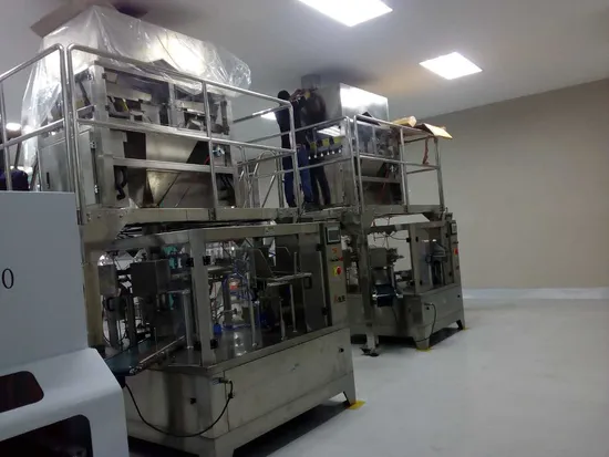 Granular Products Packing Machine with Linear Weigher