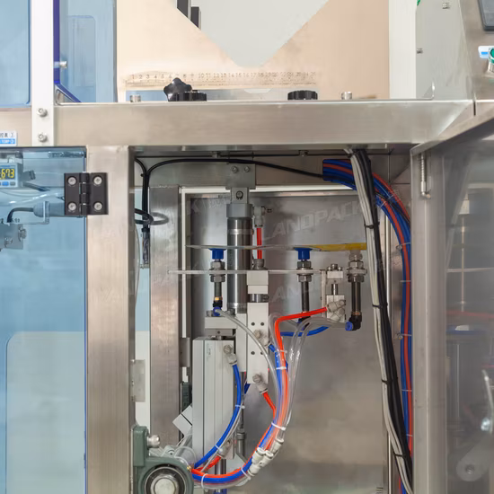 Automatic Salt/ Sugar Pouch Packing Machine with Linear Weigher