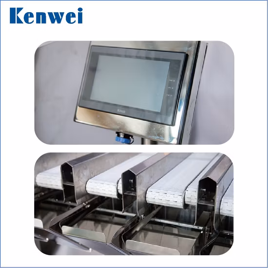 2 Head Linear Weigher Packing Machine with Double 2 Layer